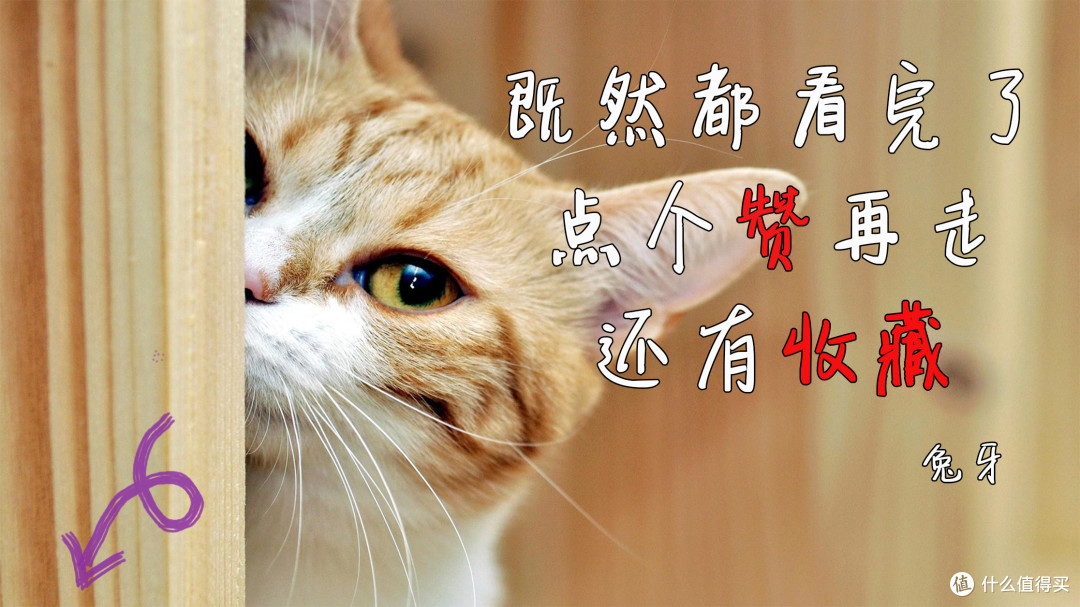 值得收藏!2021年最新免费星巴克喝法汇总,带你畅爽一夏