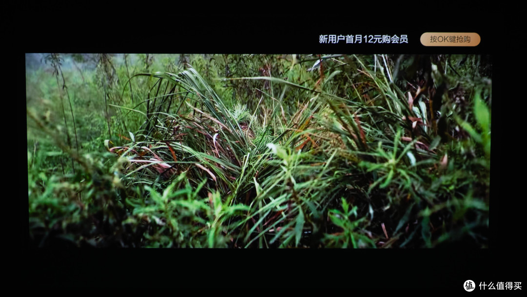 明基VS优派,旗舰投影仪对比,一倍的差价值不值?