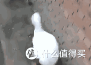 【行业指数】看懂牛市风向标：证券行业基金，学会提前布局赚翻天