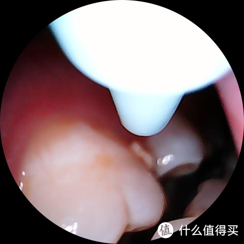 告别盲冲时代!素诺智能可视冲牙器C3 pro硬核全评