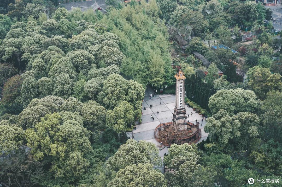 当你厌倦千篇一律,来一家充满鲜活气息的酒店亮亮眼