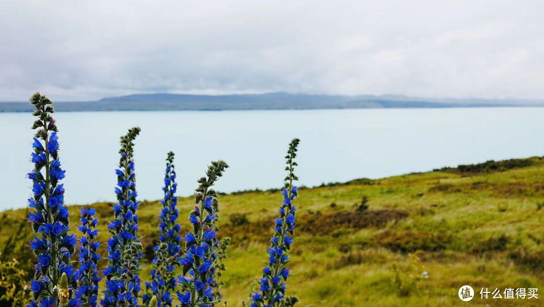 Lake Pukaki