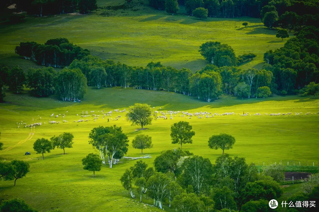 离京郊最近的一片大草原，周末就能去滚草地、啃羊腿啦！