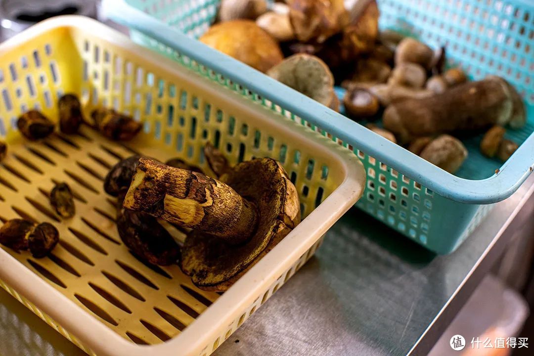 牛肝菌在西南地区食用普遍，但部分种类食量过多或煮调不当会引起中毒。©沐昀