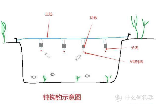 既无钩尖也无钓饵，详解东北民间钓法钝钩钓，如何钓获野生大鲤鱼