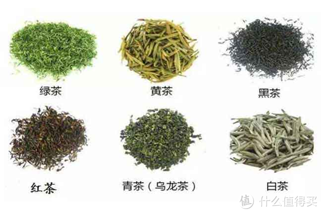 饮茶知茶味，六大类茗茶不完全入门科普，饮茶不知怎么选，看这一篇就够了