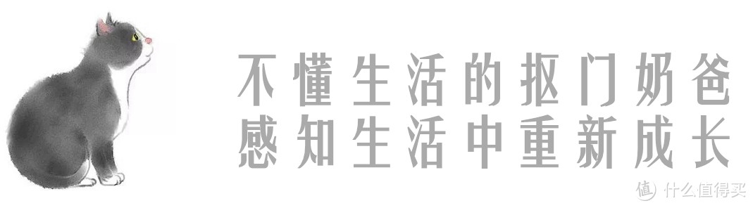 第一次买词典笔，总结几个关注要点——教多多视频词典笔晒单