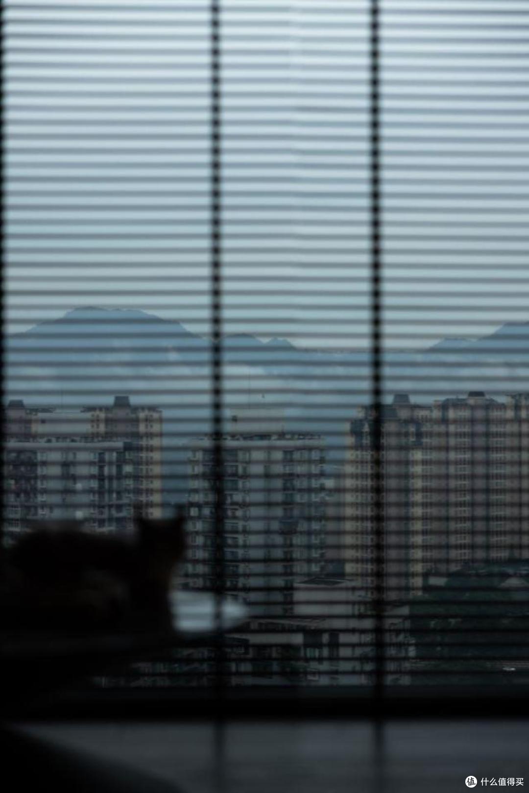 一进他家,仿佛世界都安静了下来,全屋空灵雅韵,没有一丝俗气