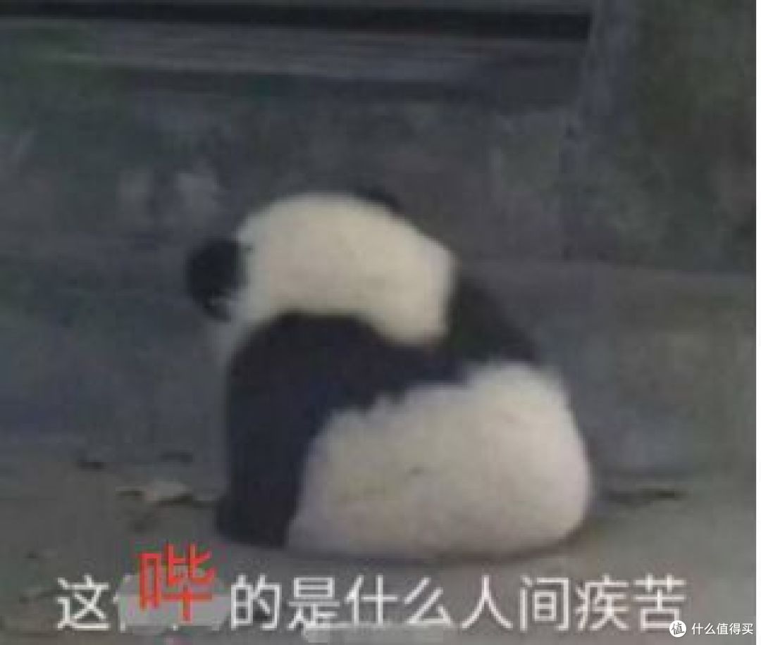 半年赔出269亿+，为什么还在说保险公司不赔？