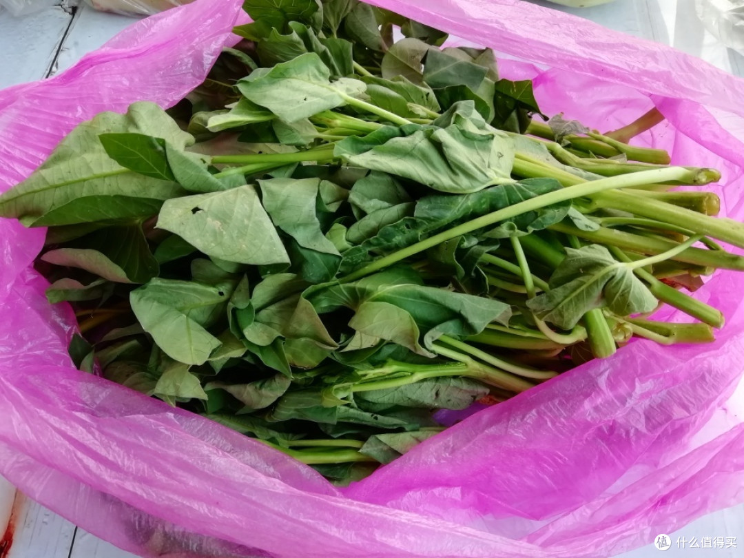 婆婆送来的东西，比金子还珍贵，晒圈获赞无数，网友：好婆婆羡慕