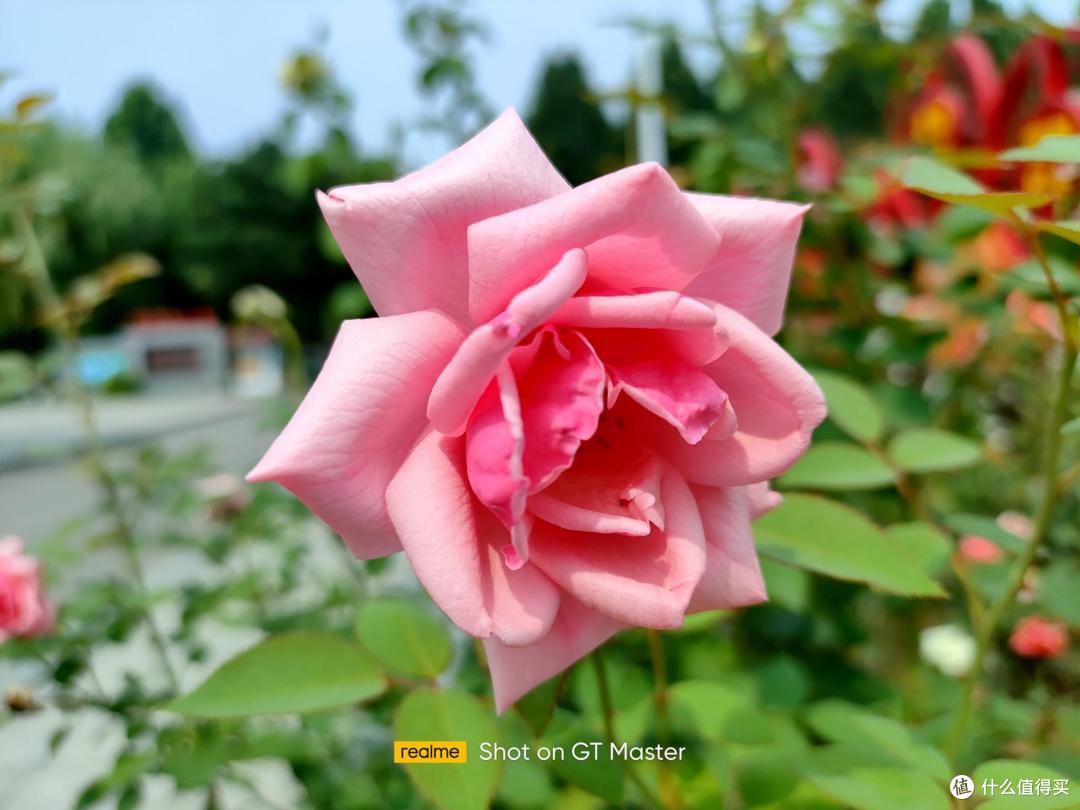 realme GT 大师版上手体验：除了骁龙处理器+120Hz屏，颜值