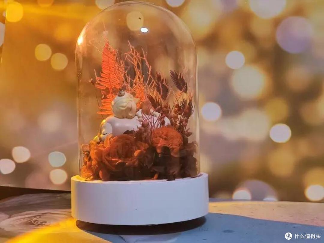 永生挚爱,唯忆可米音乐盒来见证