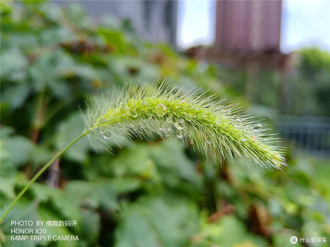 荣耀X20评测:荣耀手机史上“屏占比最高”的直屏手机