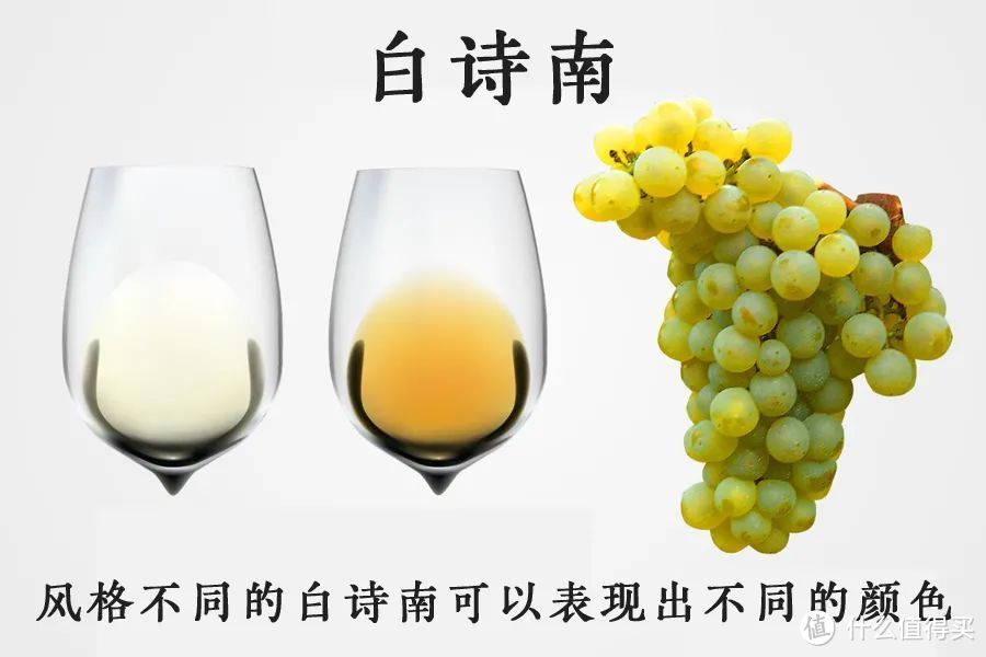 （在南非，白诗南（chenin blanc）是最流行的白葡萄酒品种）