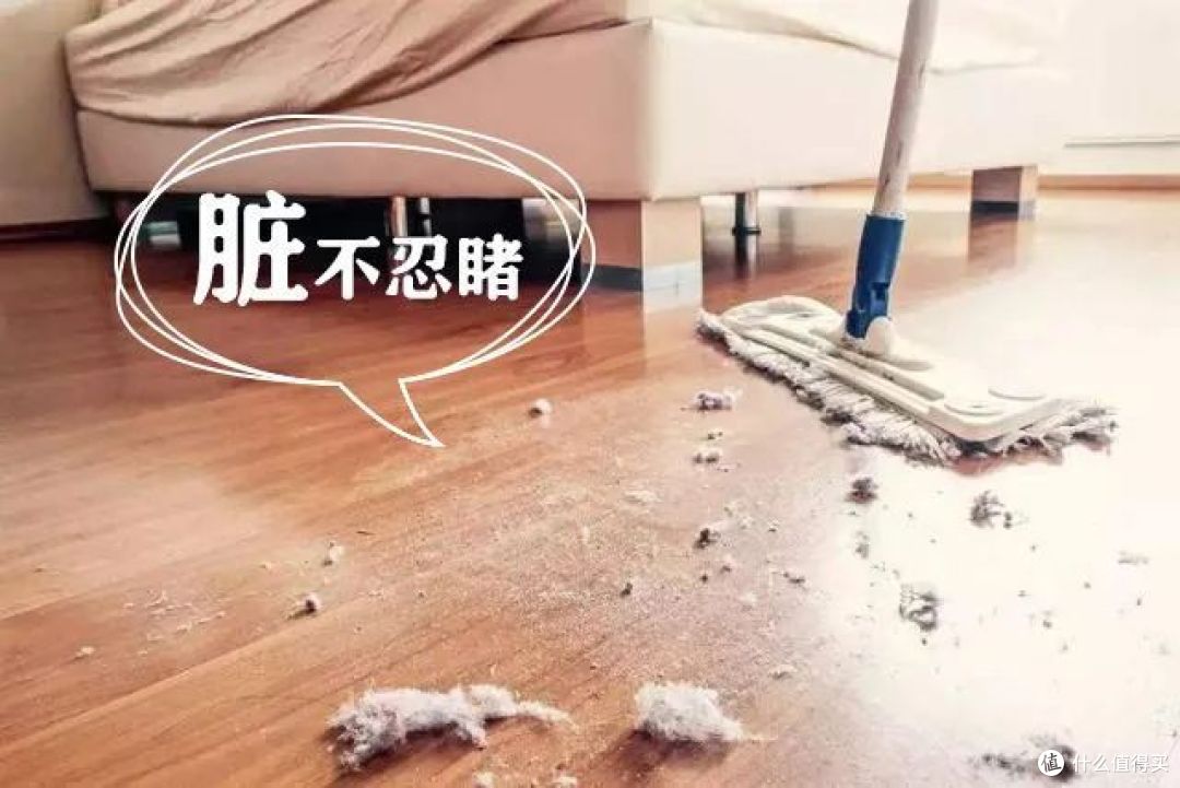 无处不在的絮状物