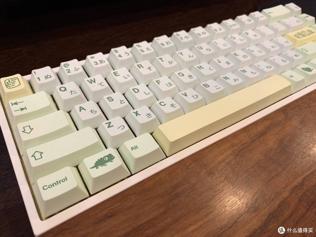 最后是来自小蜥蜴的深情一瞥!