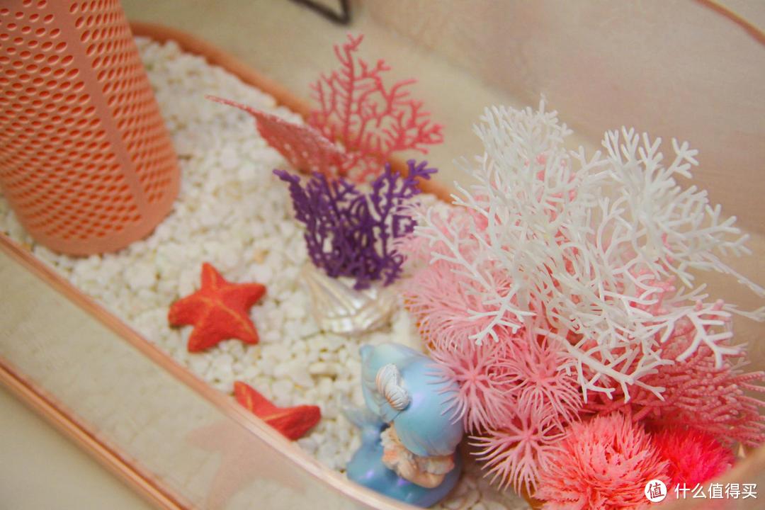 画法几何两栖生态鱼缸,原来养鱼可以很轻松