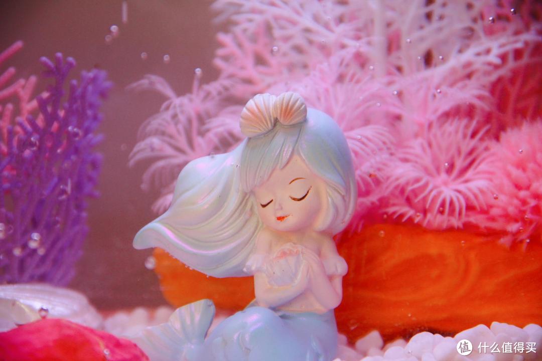 画法几何两栖生态鱼缸,原来养鱼可以很轻松