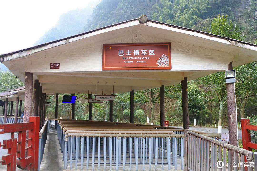  夏日忆雪---重庆南川金佛山赏雪记