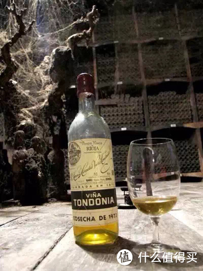 ▲ 2010年间Mei参观西班牙Rioja名庄Vina Tondonia时看到的发霉酒窖