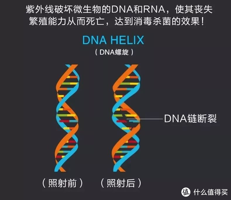 婴儿消毒柜怎么选？七个要点，看完就懂！