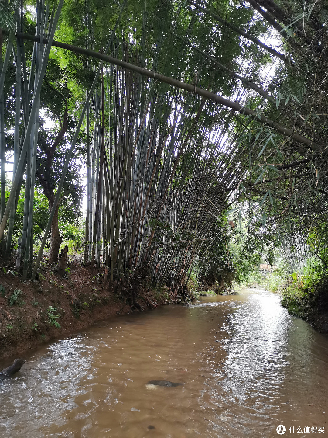 玩水，就是孩子对暑假旅行唯一的要求，从化自驾游流水帐