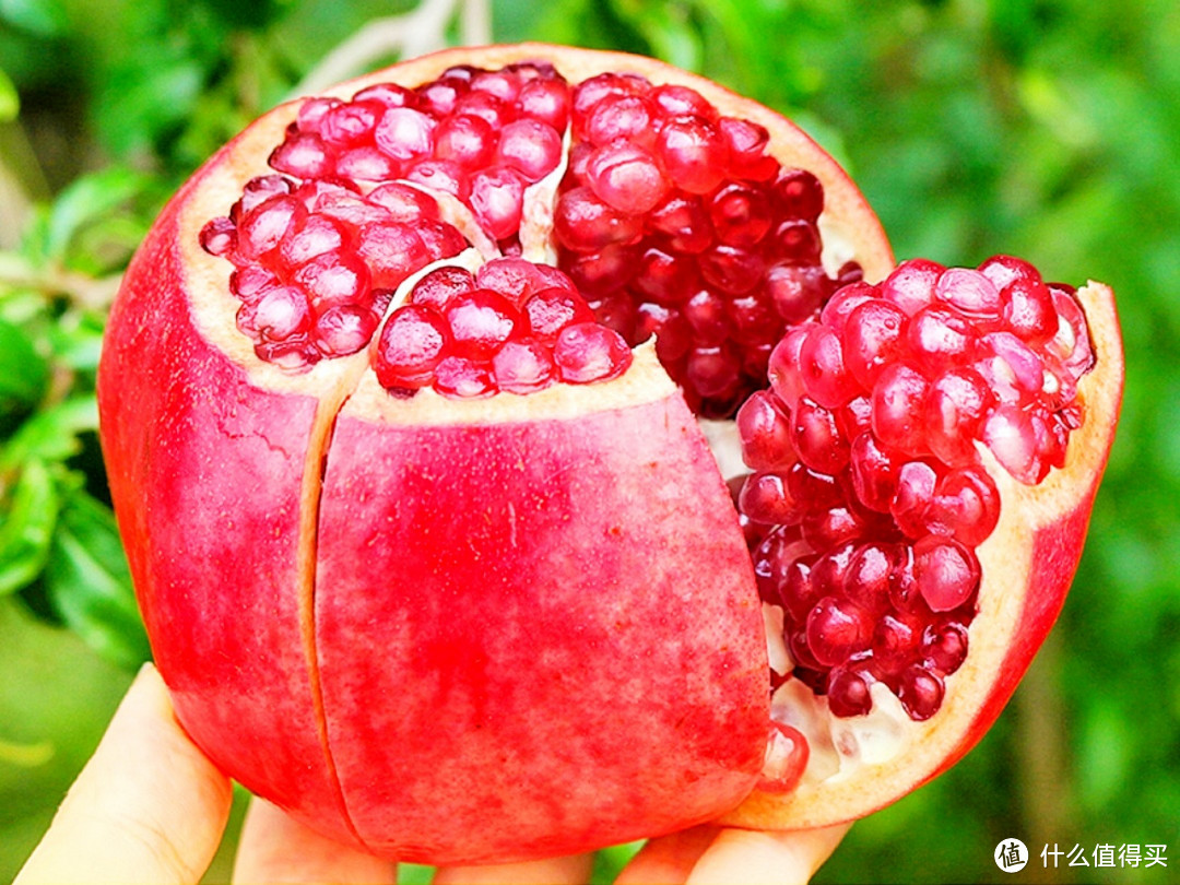 入秋后，建议你多吃8种应季水果，清热润燥，果肉香甜，饱满多汁