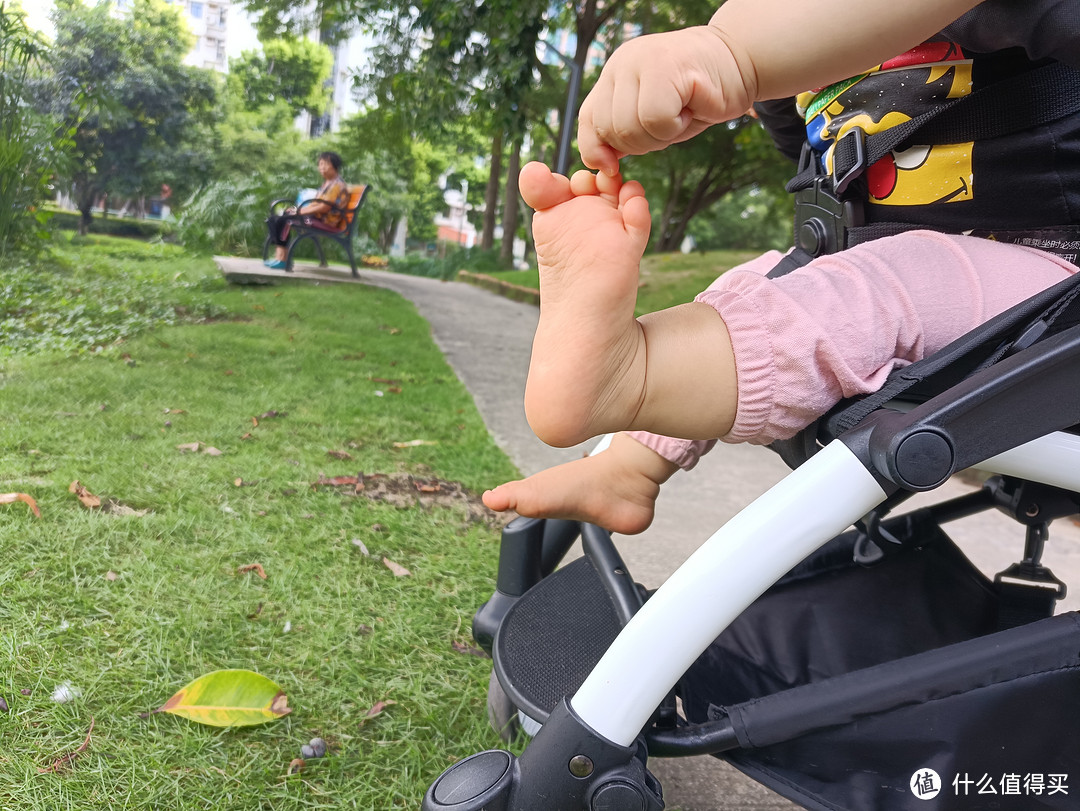 随手拍，没有特别认真。早上溜娃的时候拍的