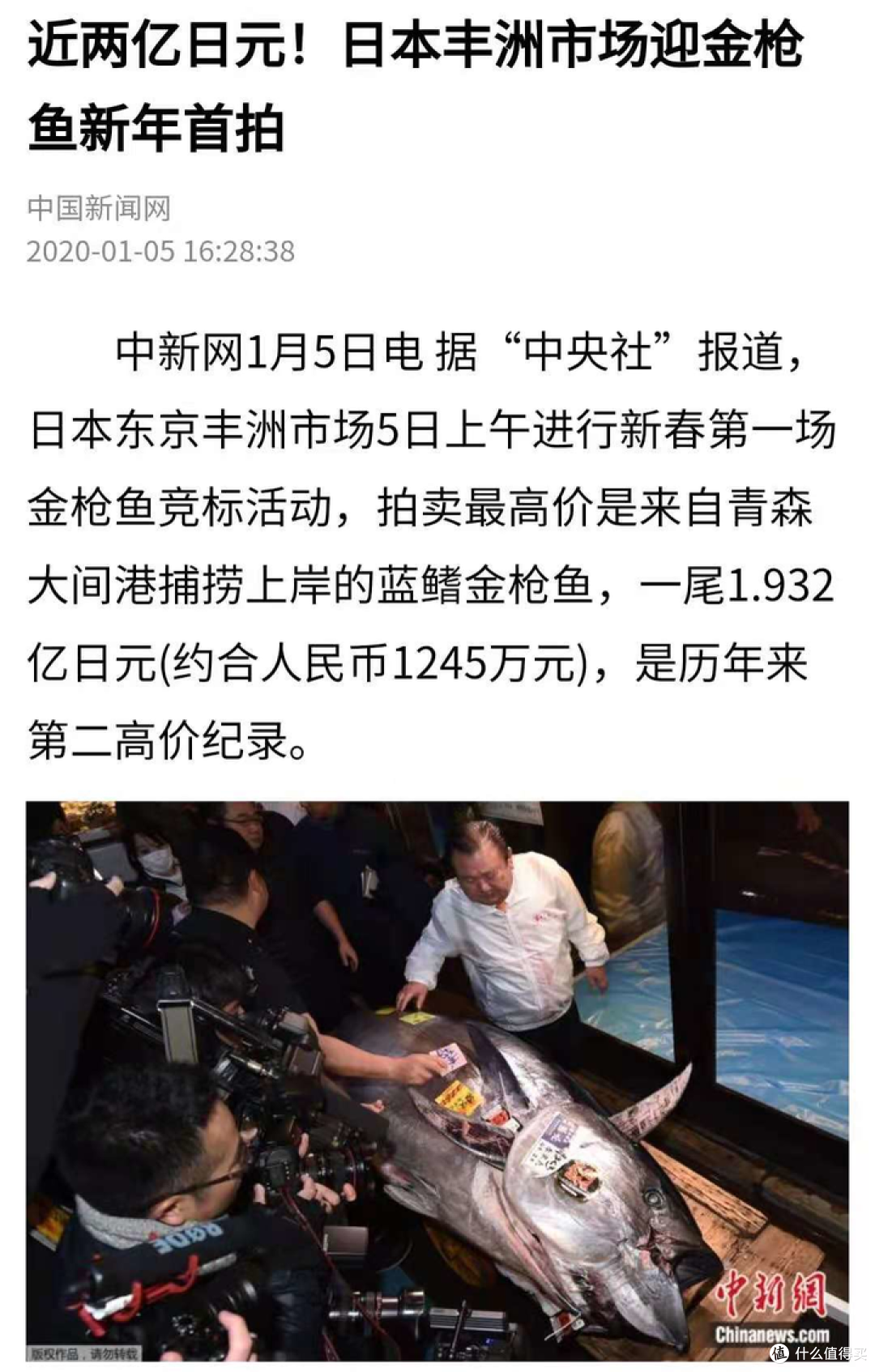 香格里拉实地考察回来,今年的松茸肥美又划算!买买买~