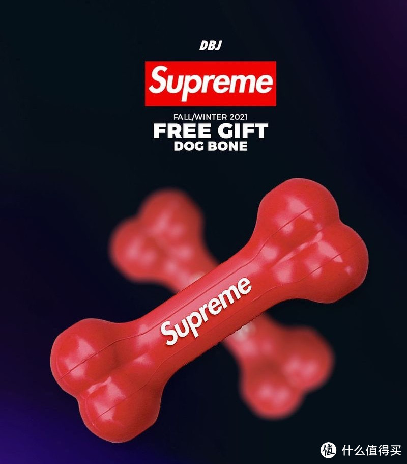 资讯｜Supreme 21 秋冬系列的开季礼物—狗狗也是弄潮儿？