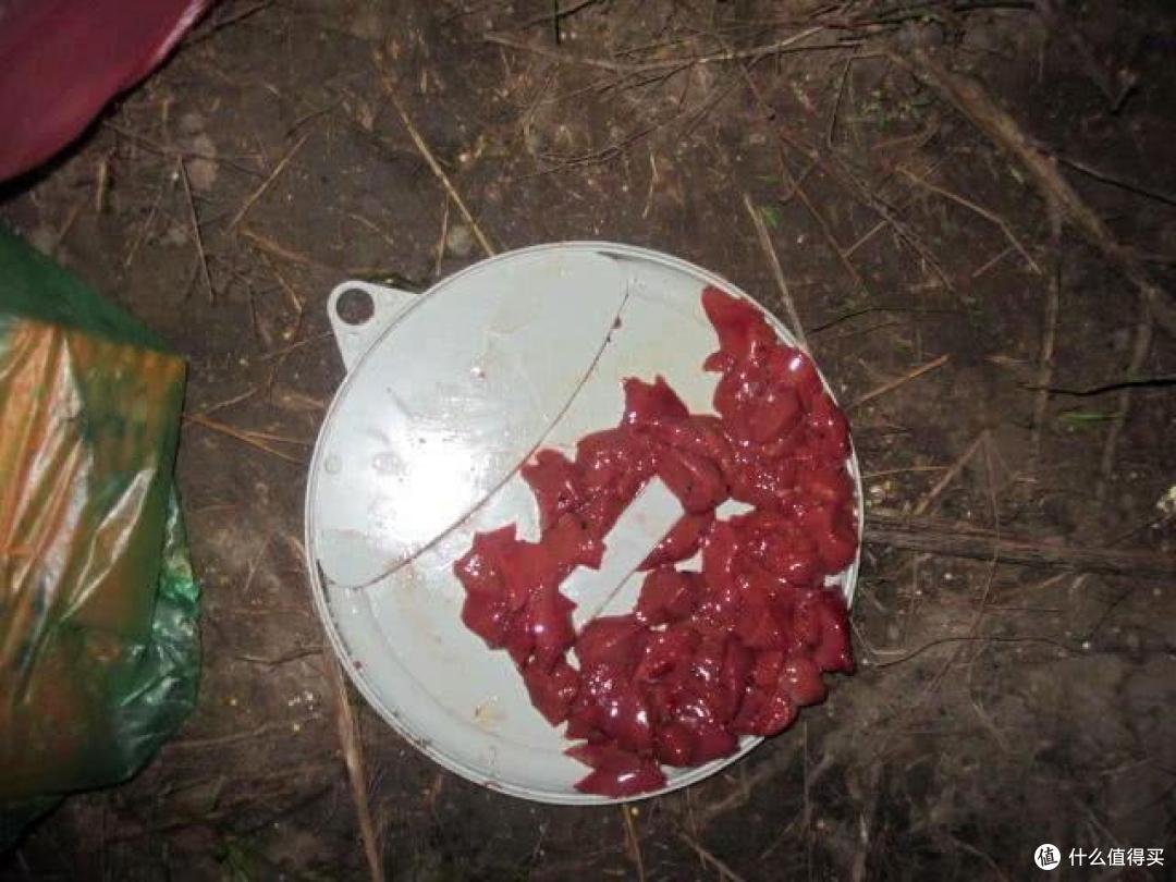 猪肝饵——野钓鲶鱼“必杀技”,灵活选用让鱼获最大化