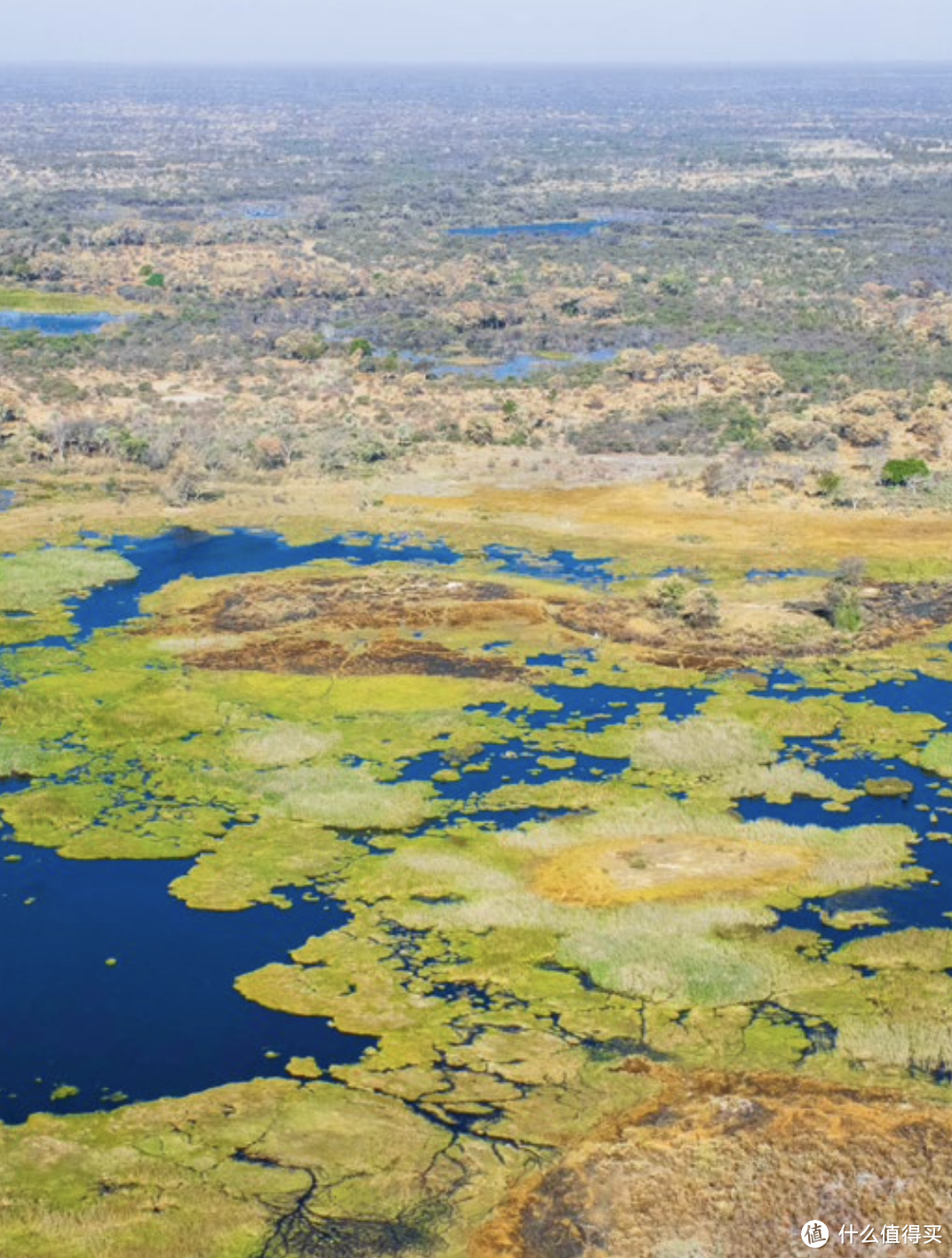 豪利时推出Okavango空中救援队限量版腕表