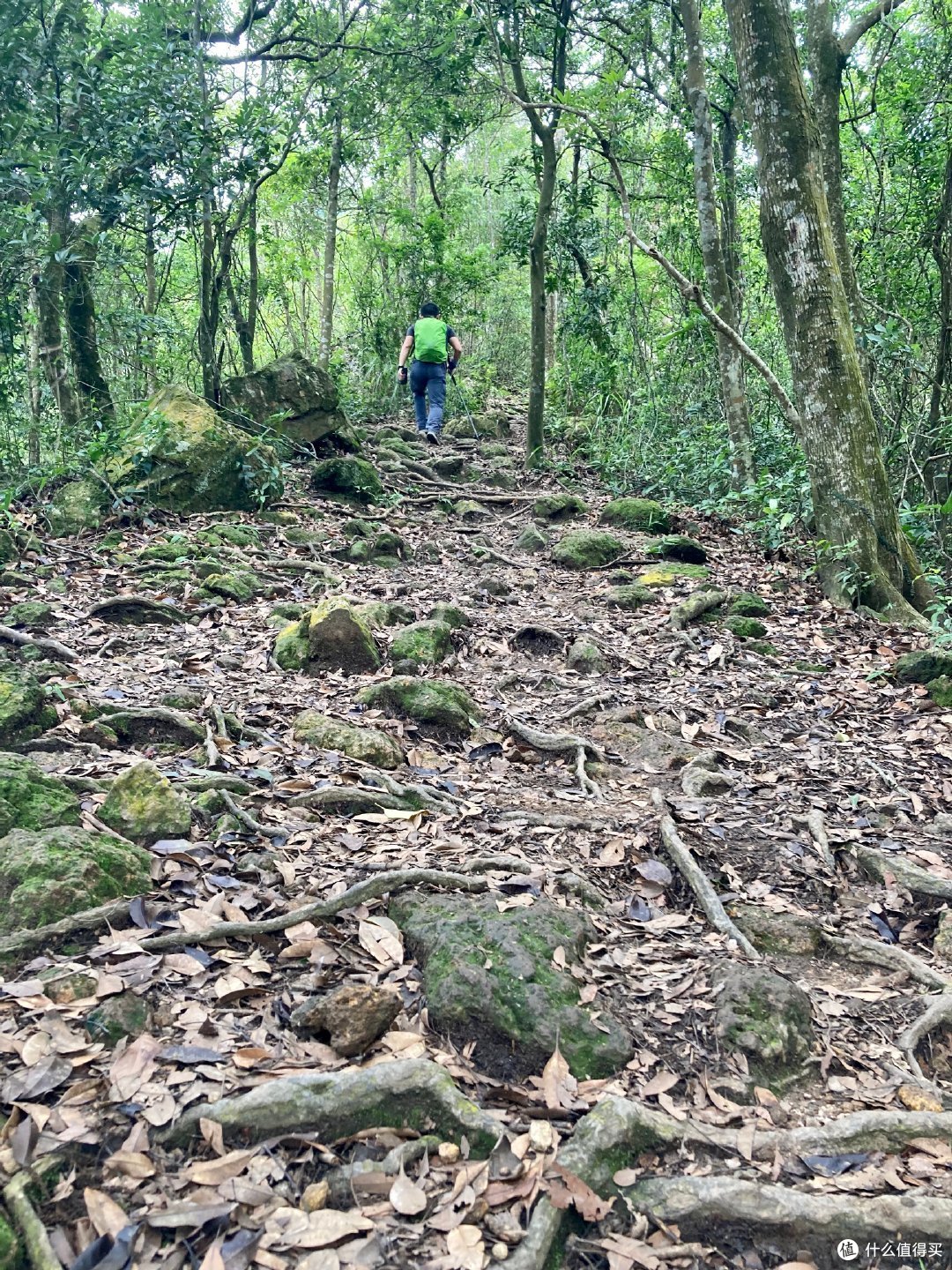 梧桐山百年古道上山,绿道下山。—夏日遛娃进阶线路及装备推荐