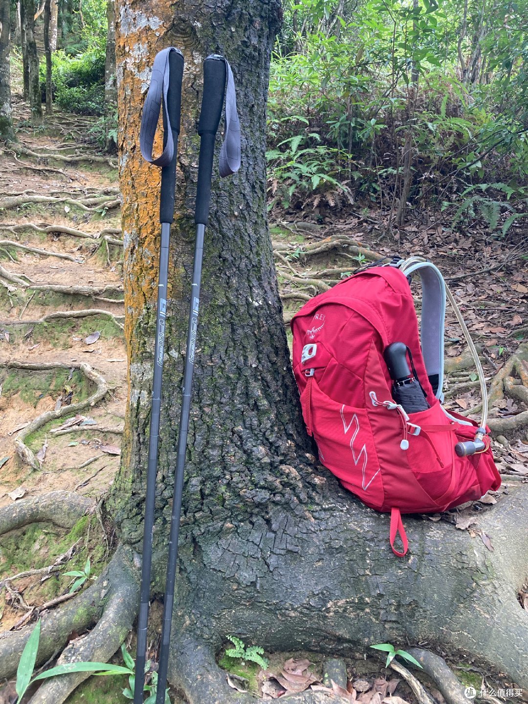 梧桐山百年古道上山,绿道下山。—夏日遛娃进阶线路及装备推荐