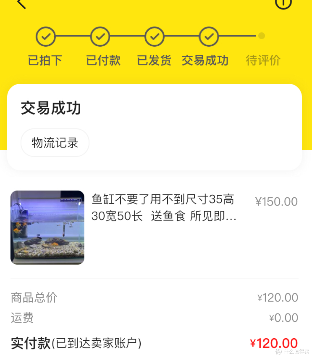 两袋小鱼食引发的养鱼事件(一)