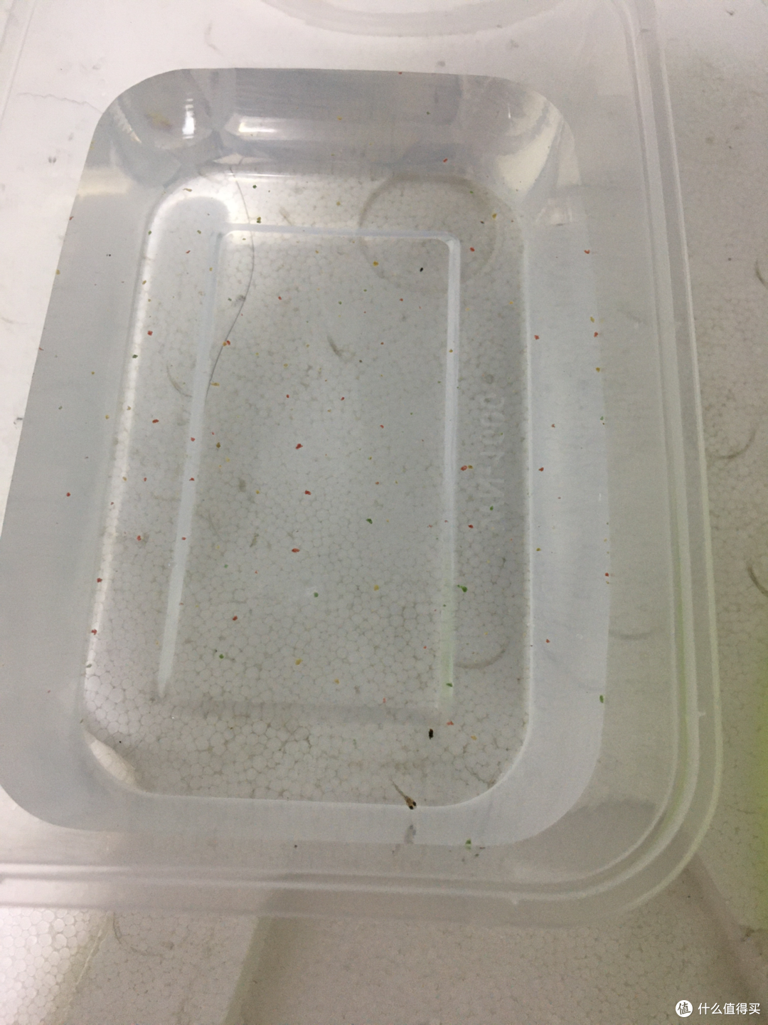 两袋小鱼食引发的养鱼事件(一)