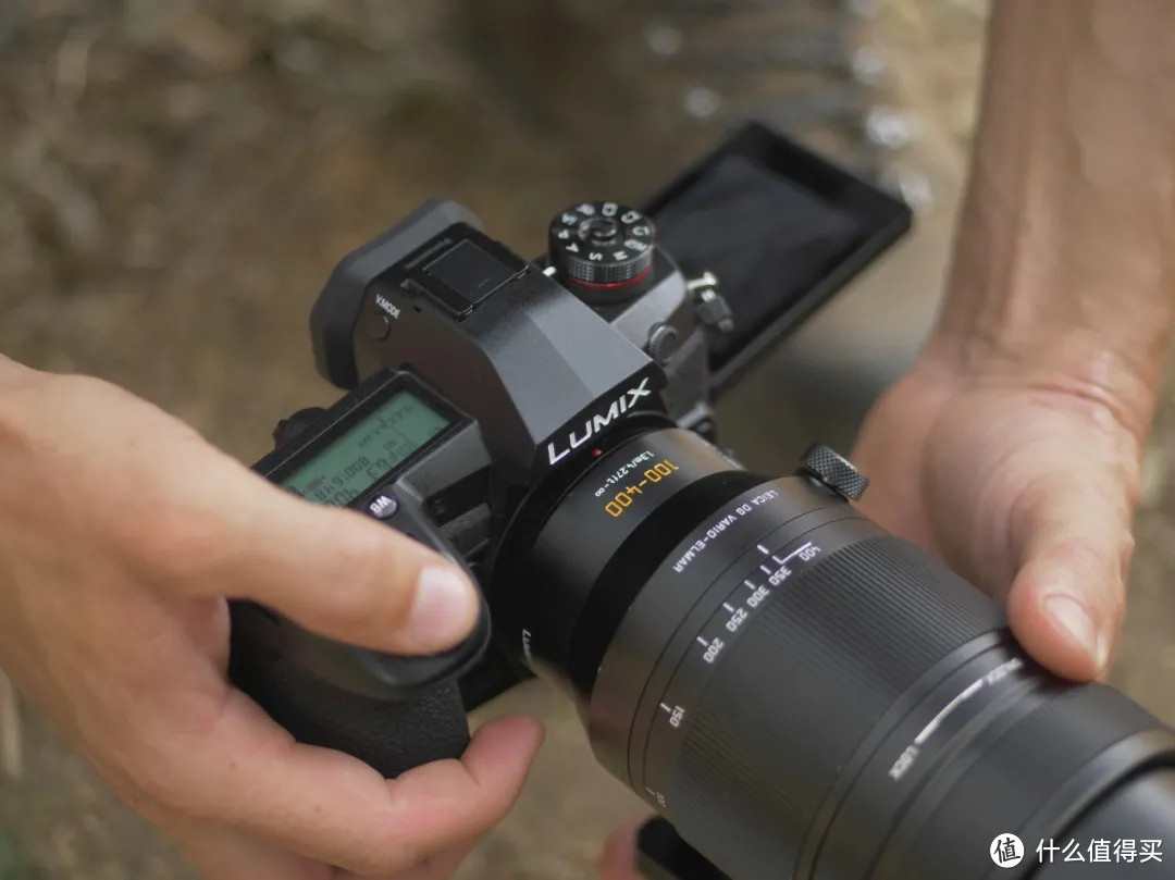 摄影师实说，松下G9在800mm焦距下拍鸟是啥效果