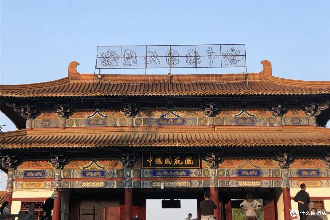 旅行恢复后,这座城市一定会大火!