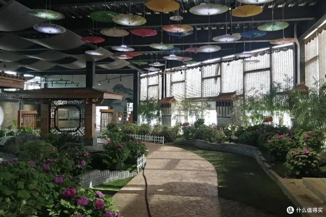 旅行恢复后,这座城市一定会大火!