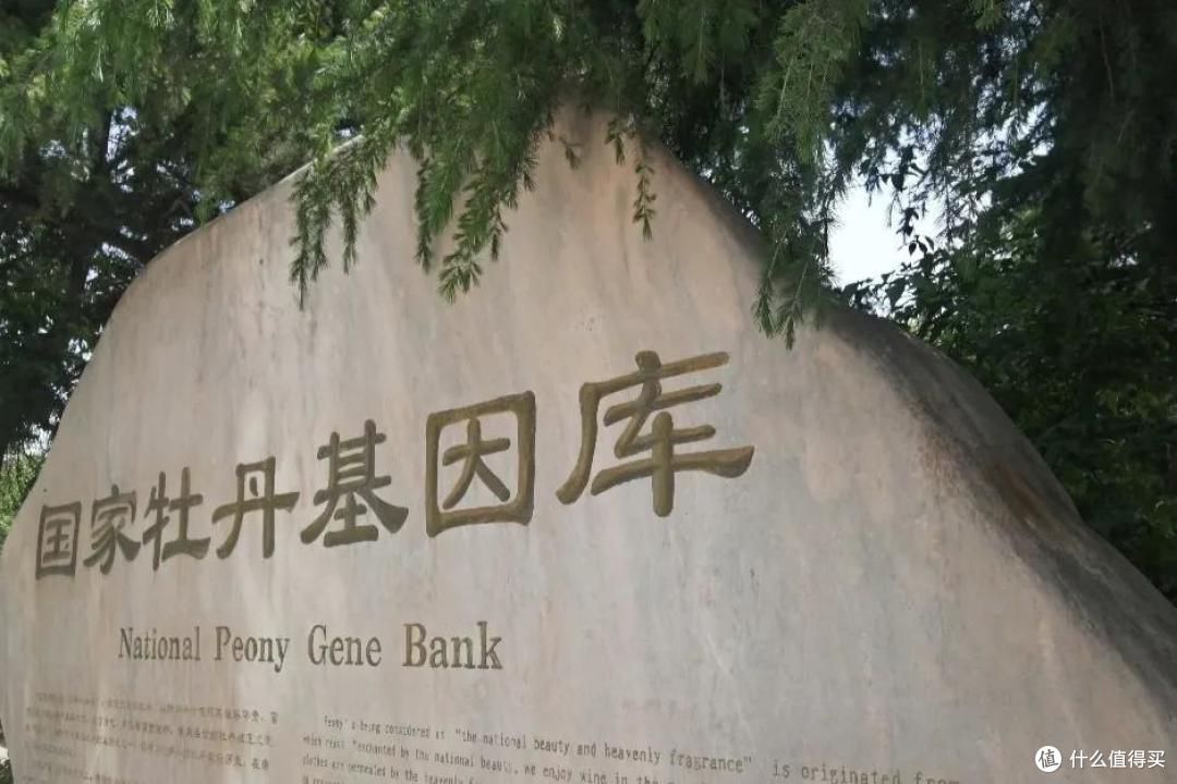 旅行恢复后,这座城市一定会大火!