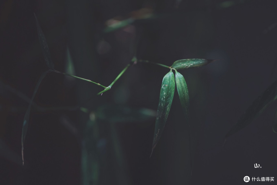 干掉无聊周末,做48小时的时间设计师。