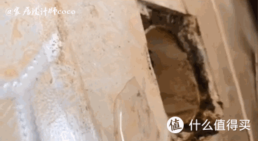 明明不是个懒人,每天打扫家里还有异味,原来“罪魁祸首”在这里