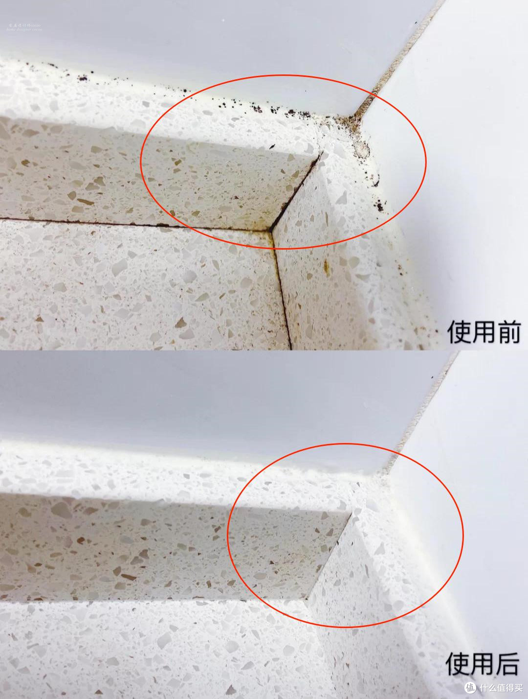 明明不是个懒人,每天打扫家里还有异味,原来“罪魁祸首”在这里