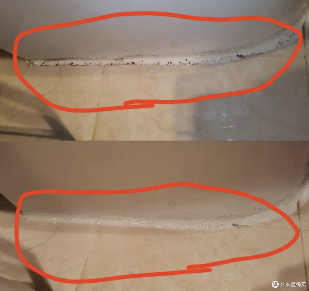 明明不是个懒人,每天打扫家里还有异味,原来“罪魁祸首”在这里