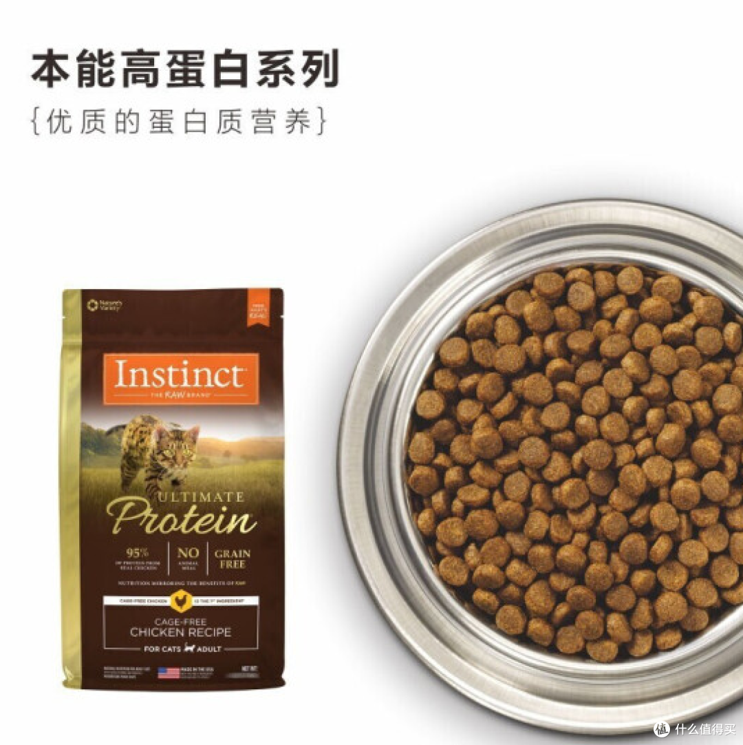 新手养猫不要慌,超值宠物用品闭眼选购攻略