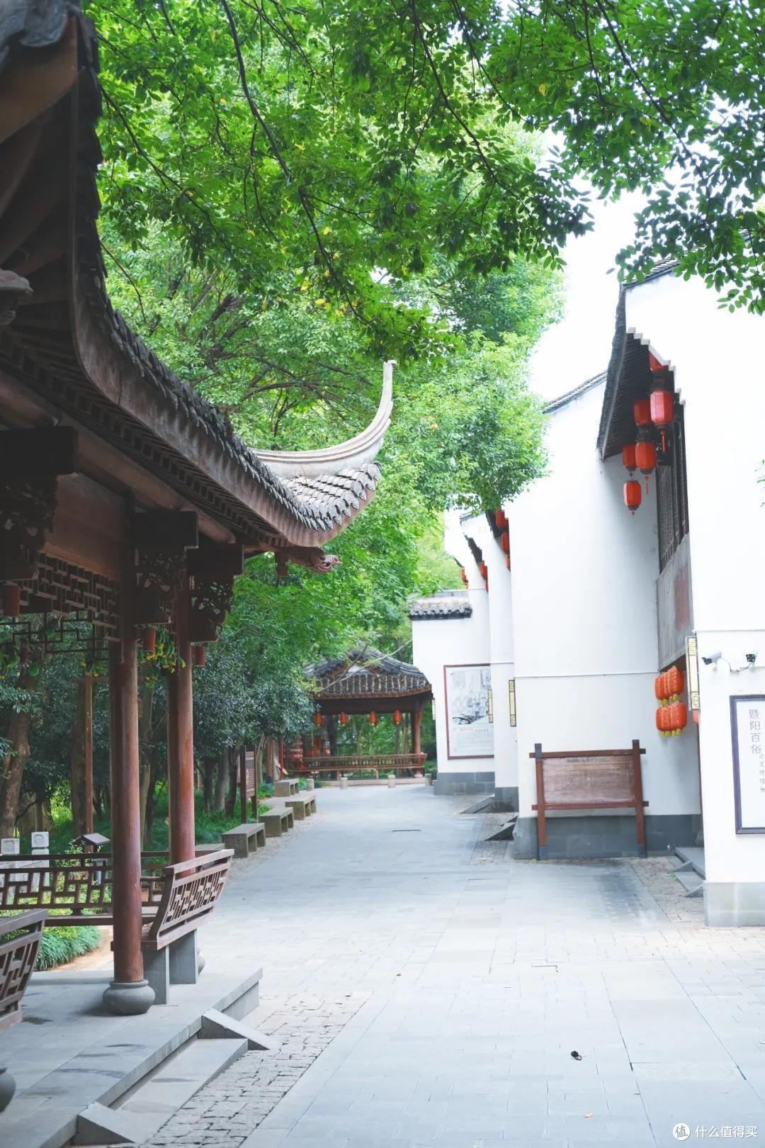 诸暨:碳水王国,浙江沙县