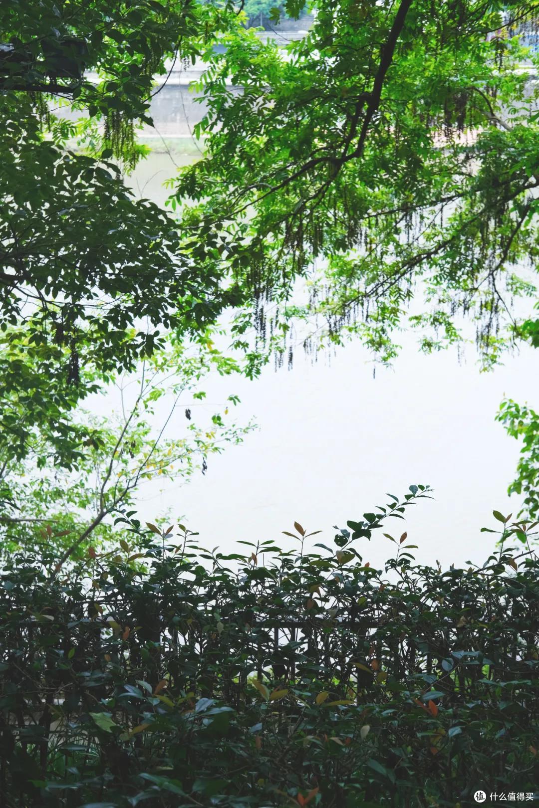 诸暨:碳水王国,浙江沙县