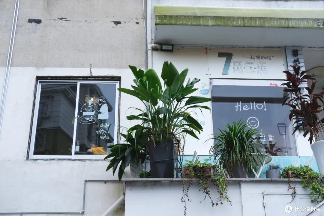 诸暨:碳水王国,浙江沙县