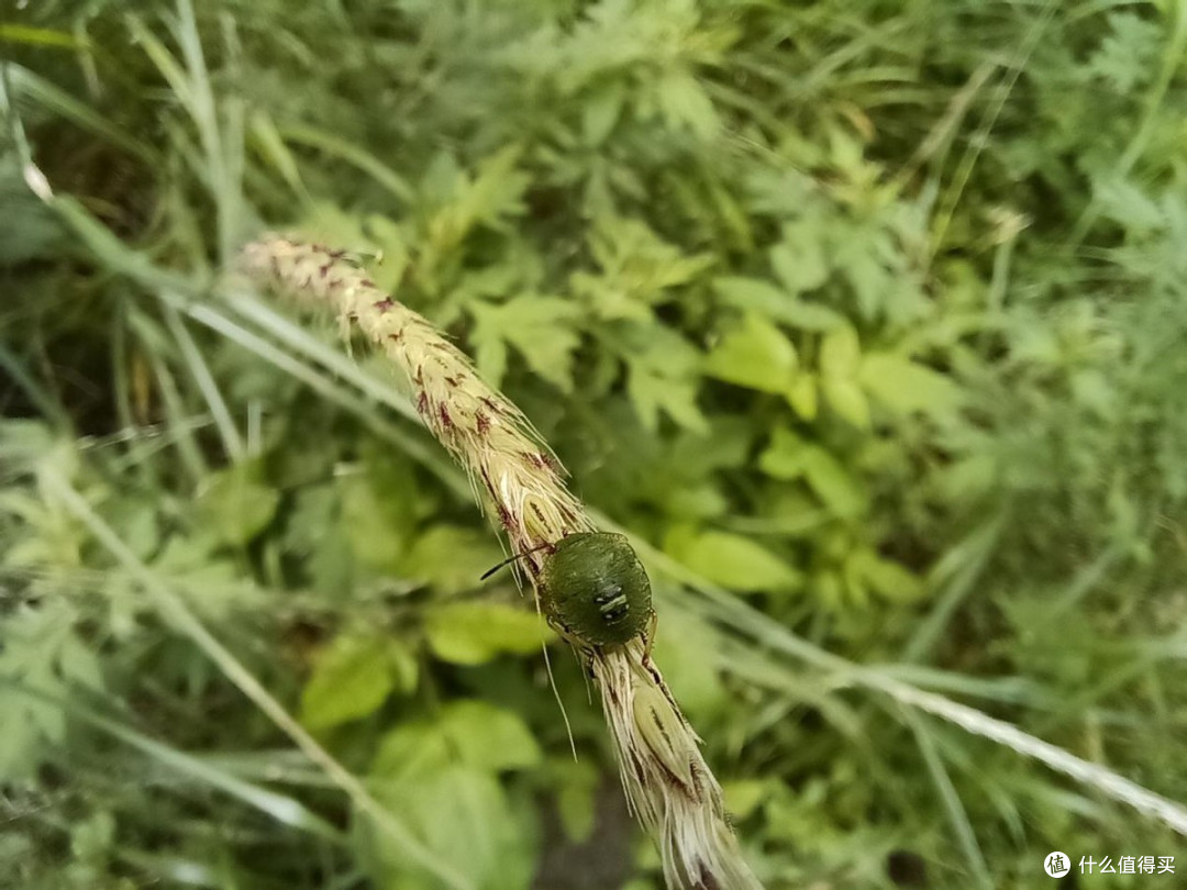 荣耀X20一镜多用途,是火力全开的表现