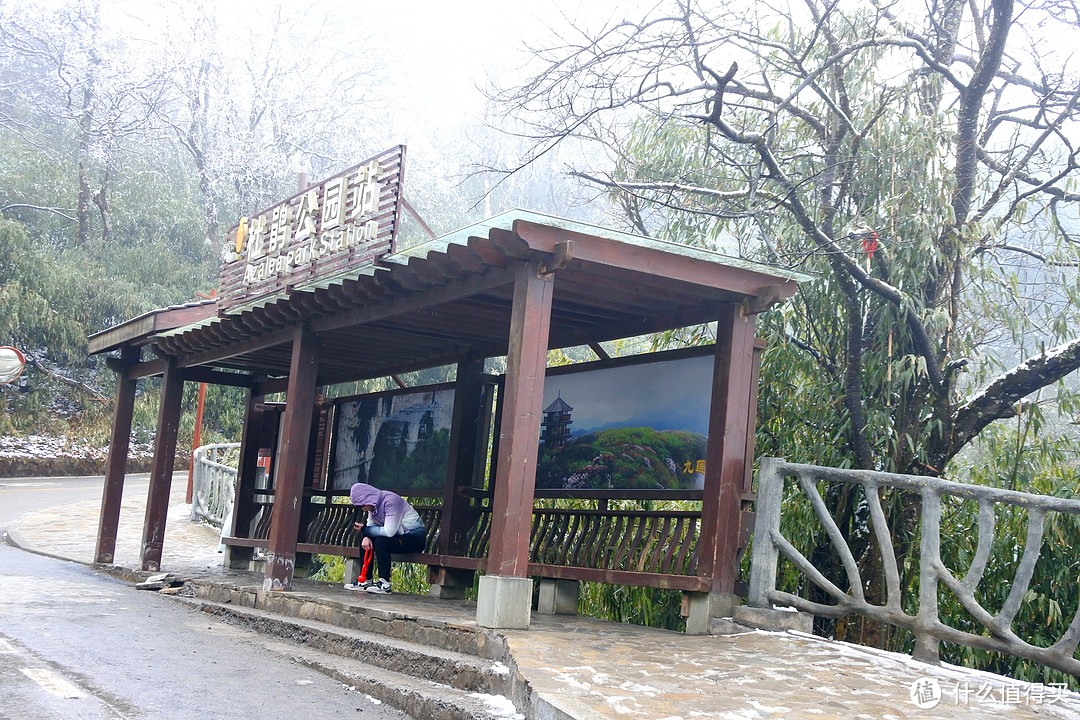  夏日忆雪---重庆南川金佛山赏雪记